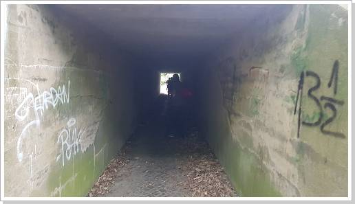 0093_20180510_183626 (Kopie).jpg